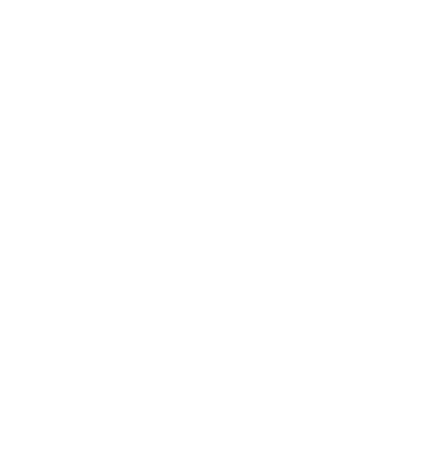 Vidra Books Logo